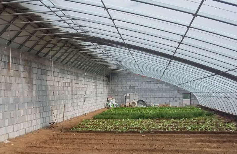 大棚用電鍋爐