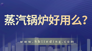 蒸汽鍋爐