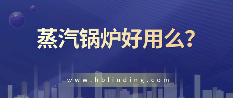 蒸汽鍋爐