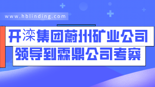 霖鼎新聞