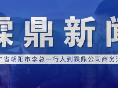 【霖鼎新聞】遼寧省朝陽(yáng)市李總一行人到霖鼎公司商務(wù)洽談