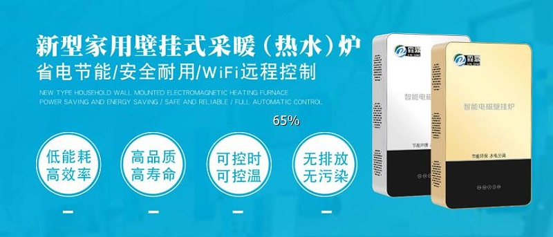 霖鼎家用電磁壁掛爐