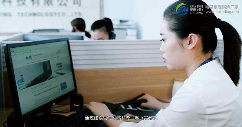 政府煤改電
