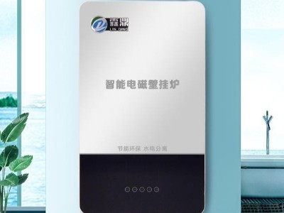 關于電鍋爐，對比之后你就知道該選那一種。
