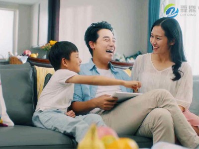 家用電磁壁掛爐：溫馨小家的溫暖守護(hù)者