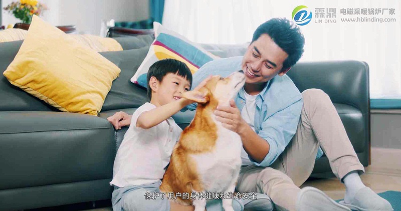 家用電磁壁掛爐